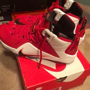 LeBron James Sneakers